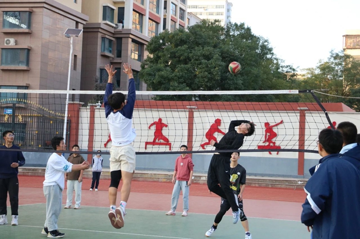 仅增加了比